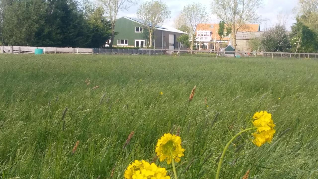 Boerenskuur De Bedstee Groen Assendelft ภายนอก รูปภาพ
