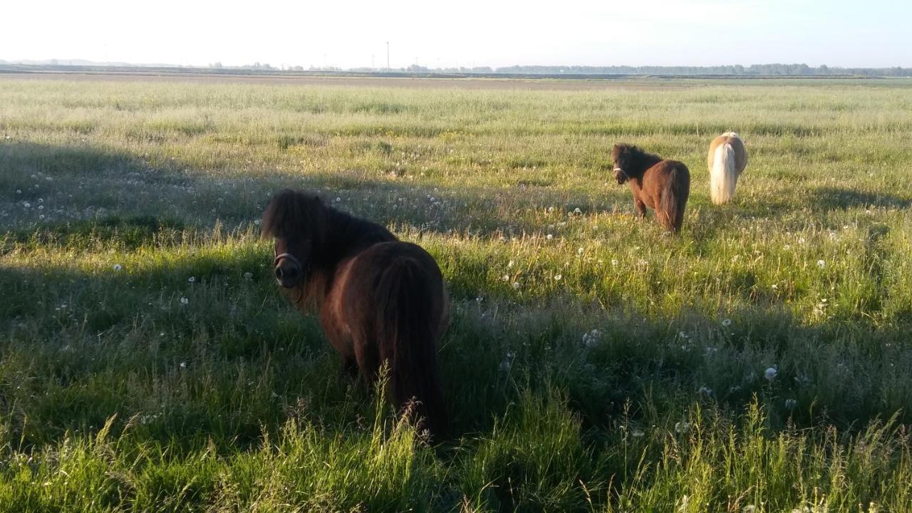 Boerenskuur De Bedstee Groen Assendelft ภายนอก รูปภาพ