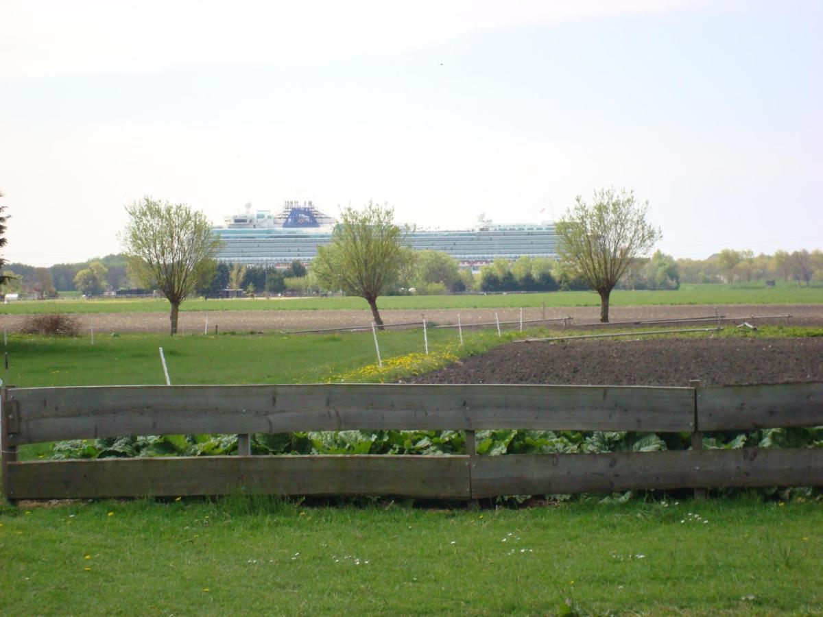 Boerenskuur De Bedstee Groen Assendelft ภายนอก รูปภาพ
